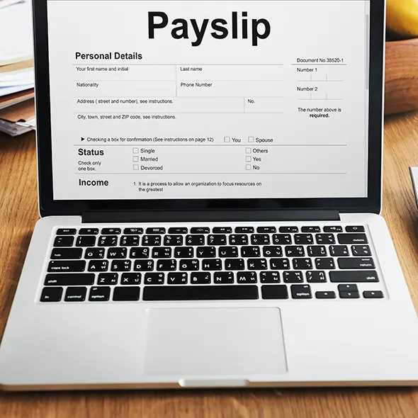 Payslip Detail Summary Report