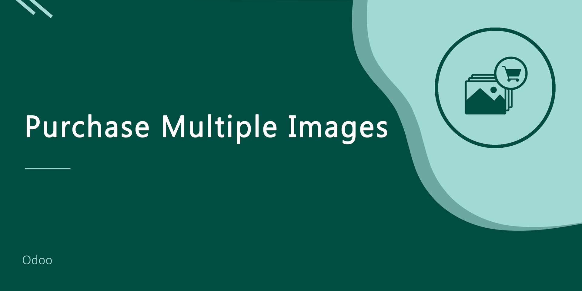 Purchase Multiple Images